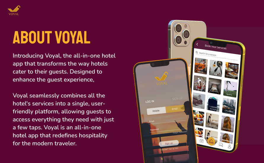 Voyal_traveler_1